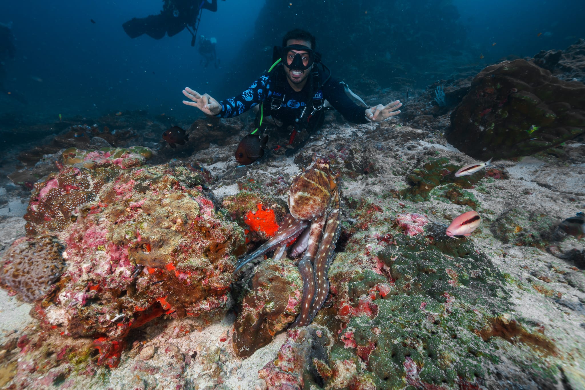 An underwater moment with DiveBuddy